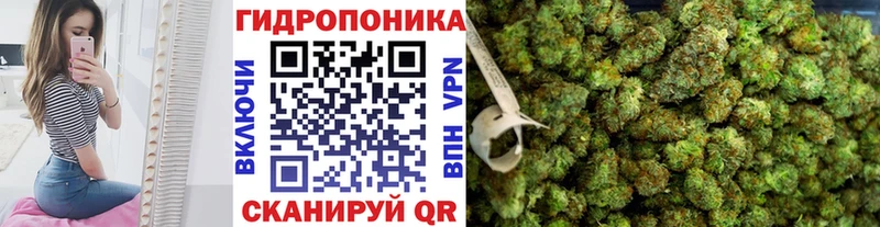 Как найти наркотики Чадан БУТИРАТ Alpha-PVP Меф Каннабис