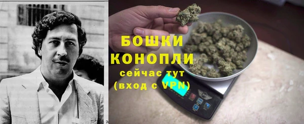 тгк Ладушкин
