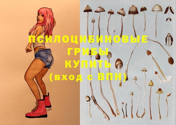 тгк Ладушкин
