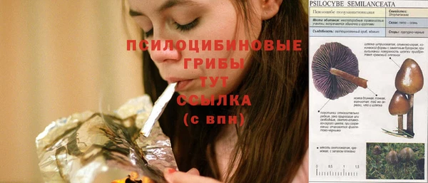 гидра Лагань