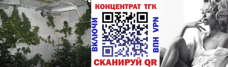 Дистиллят ТГК Wax  ОМГ ОМГ вход  Чадан 