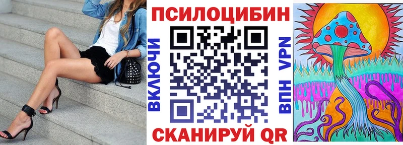 дарнет шоп  Чадан  Галлюциногенные грибы GOLDEN TEACHER 